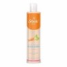 Leche solar de Zanahoria 530ml