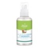Aceite de coco y moringa 60ml